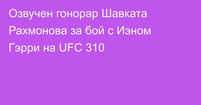 Озвучен гонорар Шавката Рахмонова за бой с Иэном Гэрри на UFC 310