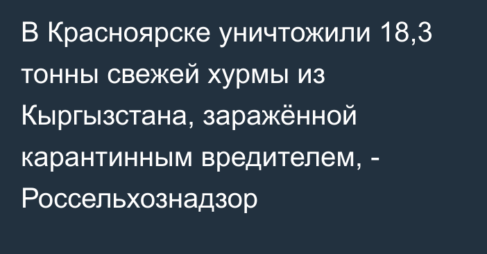 В Красноярске уничтожили 18,3 тонны свежей хурмы из Кыргызстана, заражённой карантинным вредителем, - Россельхознадзор