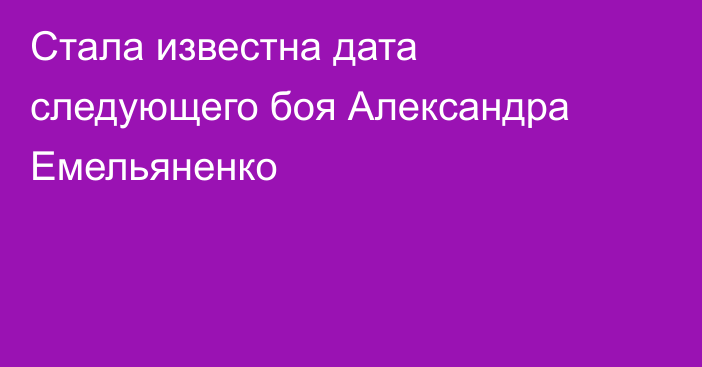 Стала известна дата следующего боя Александра Емельяненко