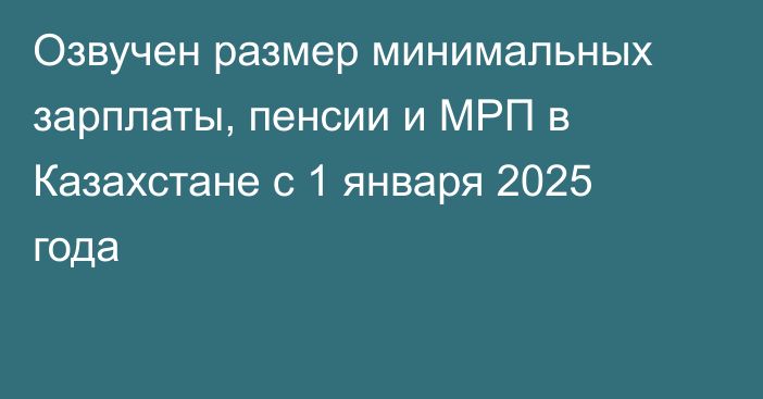 Озвучен размер минимальных зарплаты, пенсии и МРП в Казахстане с 1 января 2025 года