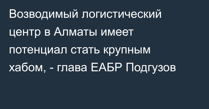 Возводимый логистический центр в Алматы имеет потенциал стать крупным хабом, - глава ЕАБР Подгузов