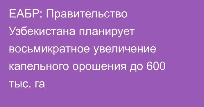 ЕАБР: Правительство Узбекистана планирует восьмикратное увеличение капельного орошения до 600 тыс. га