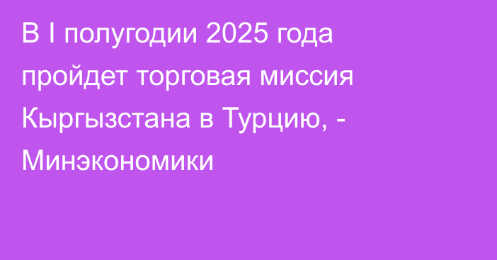 В I полугодии 2025 года пройдет торговая миссия Кыргызстана в Турцию, - Минэкономики