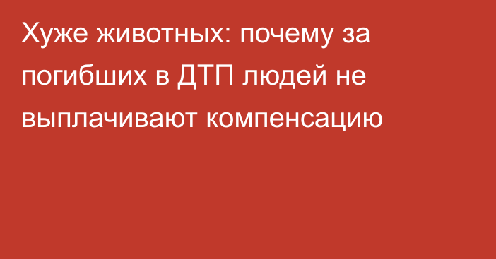 Хуже животных: почему за погибших в ДТП людей не выплачивают компенсацию