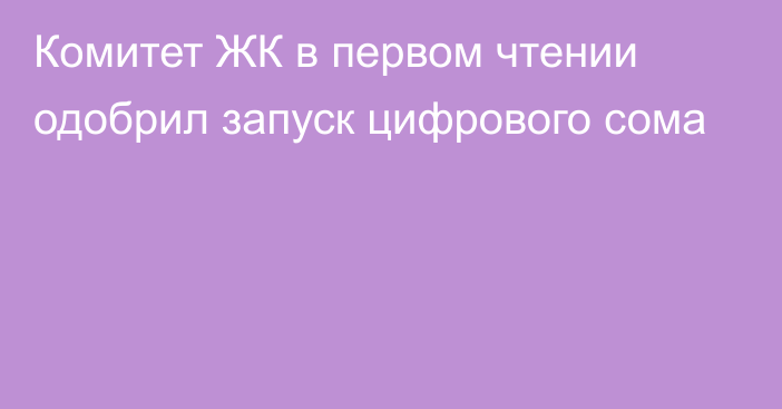 Комитет ЖК в первом чтении одобрил запуск цифрового сома