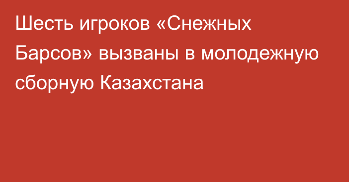 Шесть игроков «Снежных Барсов» вызваны в молодежную сборную Казахстана