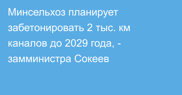 Минсельхоз планирует забетонировать 2 тыс. км каналов до 2029 года, - замминистра Сокеев