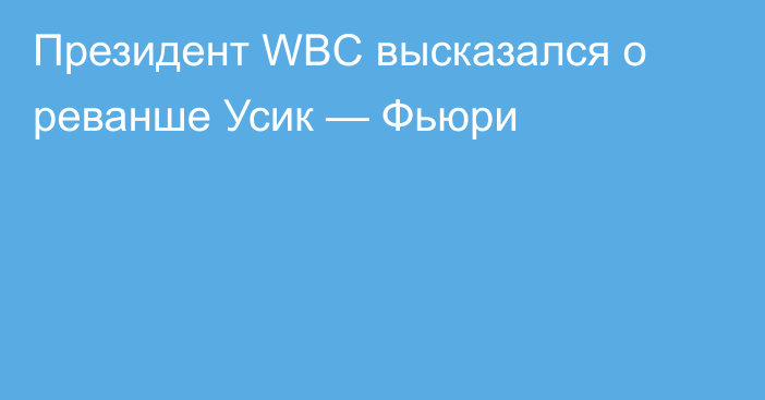 Президент WBC высказался о реванше Усик — Фьюри