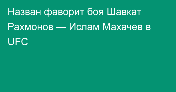 Назван фаворит боя Шавкат Рахмонов — Ислам Махачев в UFC