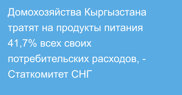 Домохозяйства Кыргызстана тратят на продукты питания 41,7% всех своих потребительских расходов, - Статкомитет СНГ