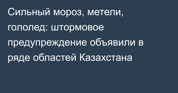 Сильный мороз, метели, гололед: штормовое предупреждение объявили в ряде областей Казахстана