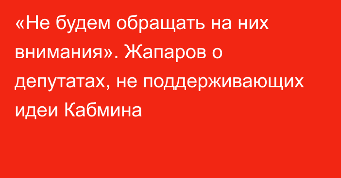 «Не будем обращать на них внимания». Жапаров о депутатах, не поддерживающих идеи Кабмина