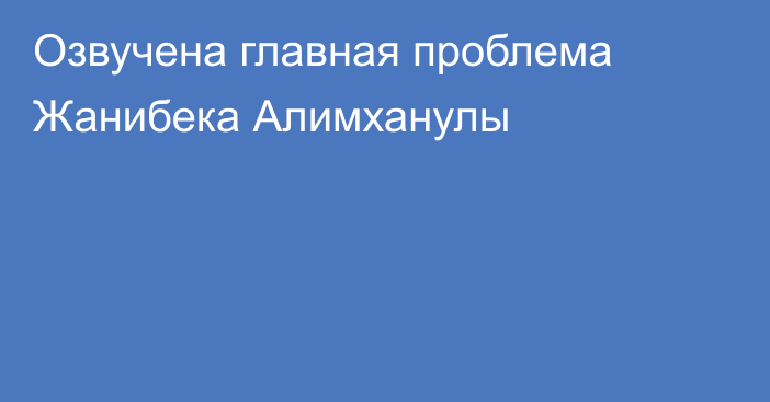 Озвучена главная проблема Жанибека Алимханулы