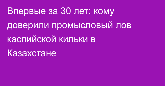 Впервые за 30 лет: кому доверили промысловый лов каспийской кильки в Казахстане