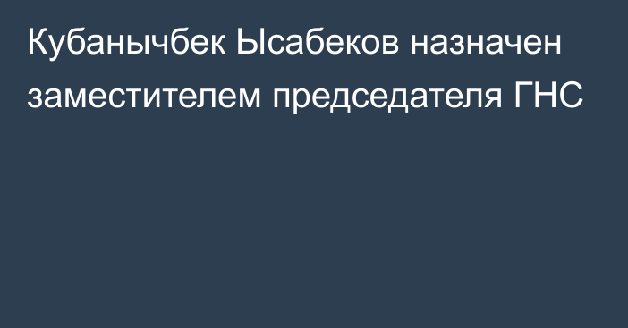 Кубанычбек Ысабеков назначен заместителем председателя ГНС