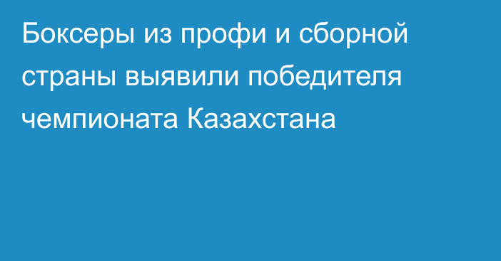 Боксеры из профи и сборной страны выявили победителя чемпионата Казахстана