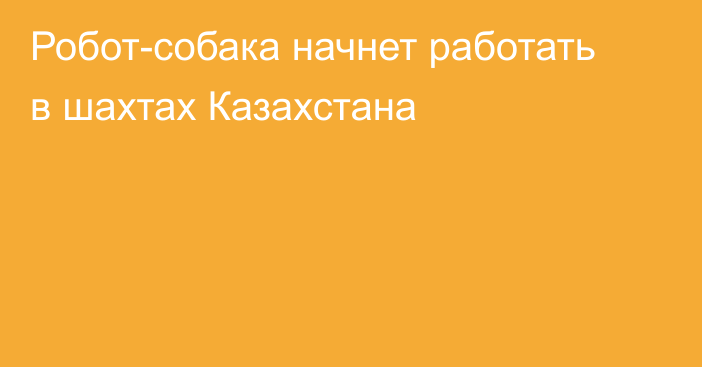 Робот-собака начнет работать в шахтах Казахстана