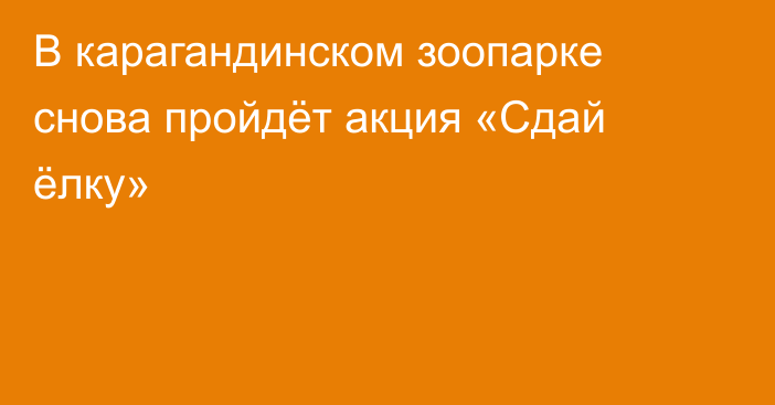 В карагандинском зоопарке снова пройдёт акция «Сдай ёлку»