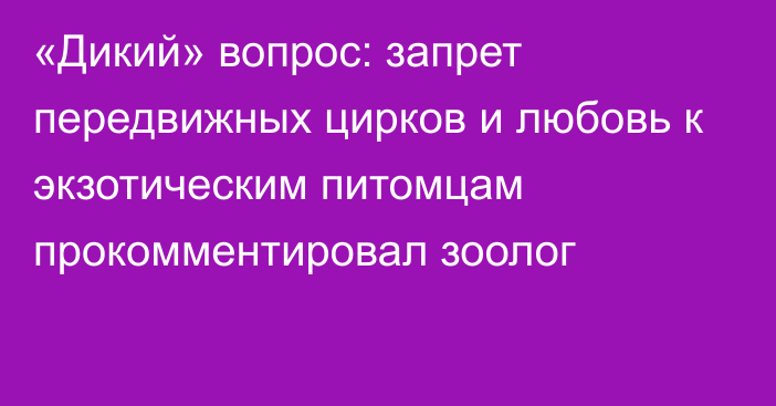 «Дикий» вопрос: запрет передвижных цирков и любовь к экзотическим питомцам прокомментировал зоолог