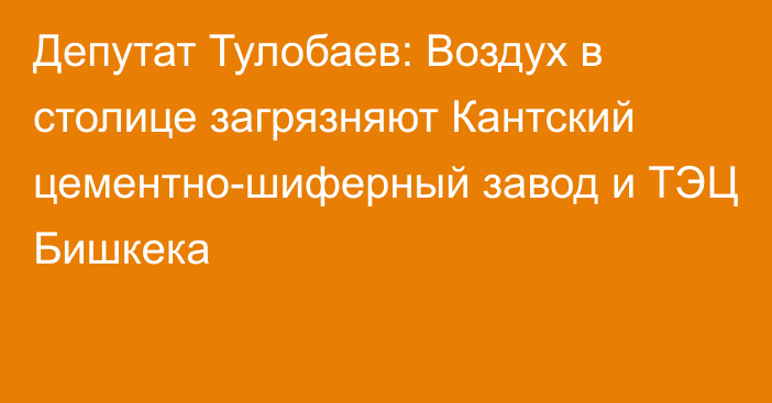 Депутат Тулобаев: Воздух в столице загрязняют Кантский цементно-шиферный завод и ТЭЦ Бишкека