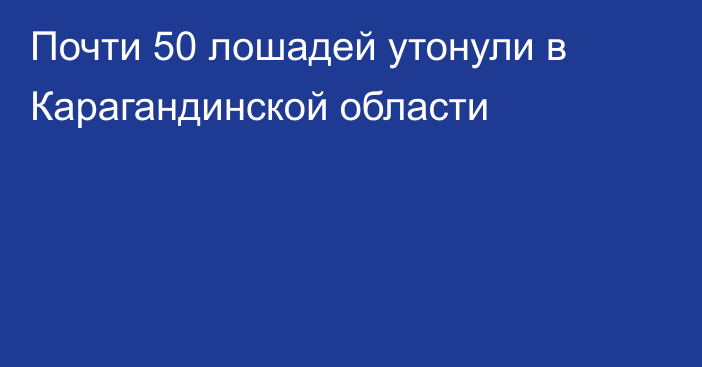 Почти 50 лошадей утонули в Карагандинской области