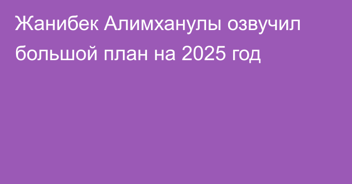 Жанибек Алимханулы озвучил большой план на 2025 год