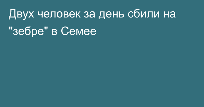 Двух человек за день сбили на 