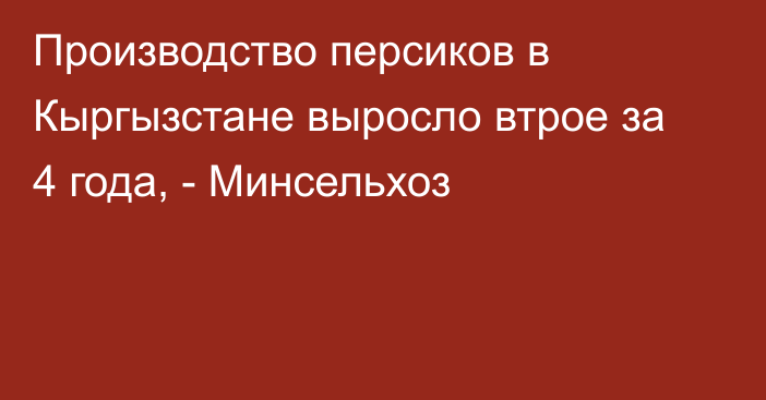 Производство персиков в Кыргызстане выросло втрое за 4 года, - Минсельхоз