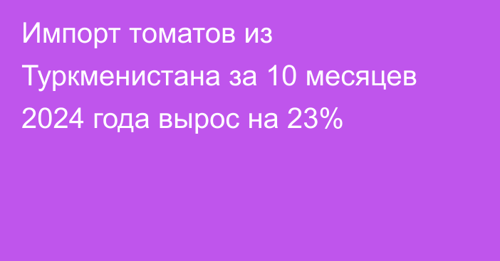 Импорт томатов из Туркменистана за 10 месяцев 2024 года вырос на 23%