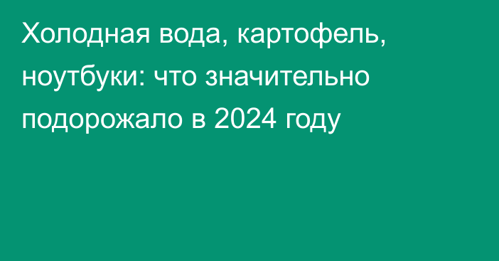 Холодная вода, картофель, ноутбуки: что значительно подорожало в 2024 году