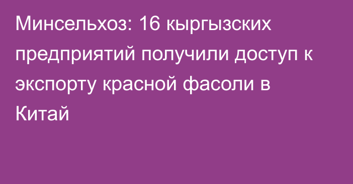 Минсельхоз: 16 кыргызских предприятий получили доступ к экспорту красной фасоли в Китай