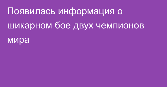 Появилась информация о шикарном бое двух чемпионов мира