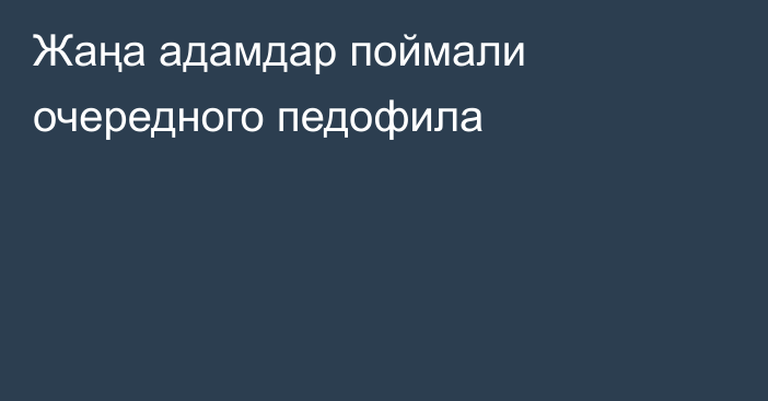 Жаңа адамдар поймали очередного педофила