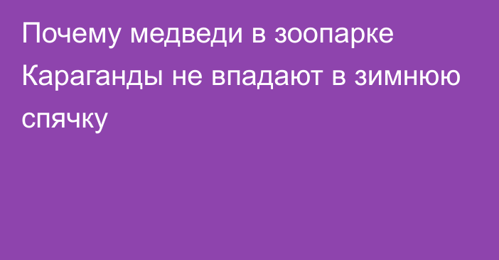 Почему медведи в зоопарке Караганды не впадают в зимнюю спячку