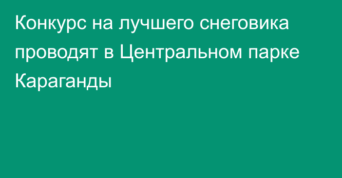 Конкурс на лучшего снеговика проводят в Центральном парке Караганды