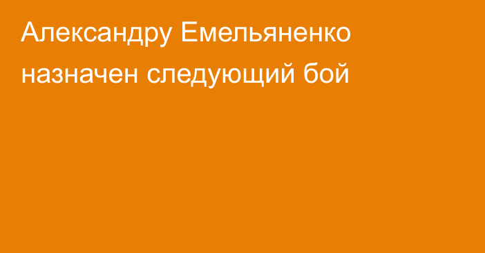 Александру Емельяненко назначен следующий бой