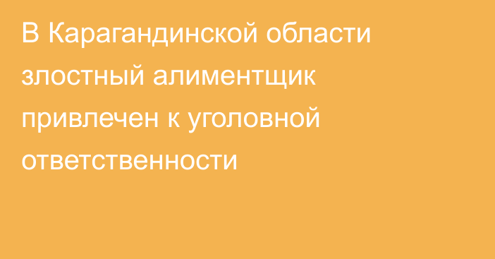 В Карагандинской области злостный алиментщик привлечен к уголовной ответственности