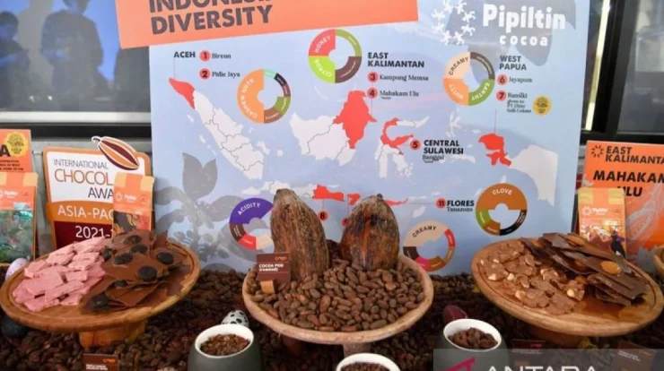 Briket Limbah Kakao Raih Juara Internasional, Siap Ekspor ke 50 Negara