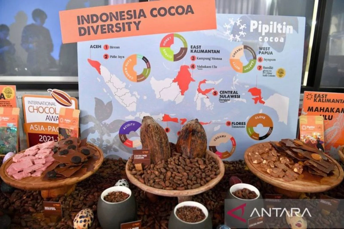 Briket Limbah Kakao Raih Juara Internasional, Siap Ekspor ke 50 Negara