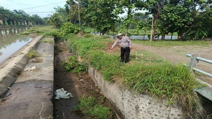 Fortuner Putih Terjun ke Saluran Irigasi OKU Timur: 5 Pemudik Selamat, Polisi Ingatkan Keselamatan Mudik