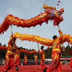 Hong Kong 2026: Dari Bunga Same‑Day hingga Ancaman Typhoon dan Kekuasaan Polisi Baru