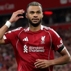 Liverpool Siapkan Kejutan Besar: Cody Gakpo Dijajaki Dijual, Pengganti Ditetapkan Menjelang Laga Brighton