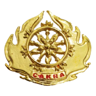 Mengenang Brigjen Franz Yohanes Purba: Jejak Karier Strategis yang Berakhir di Usia 51