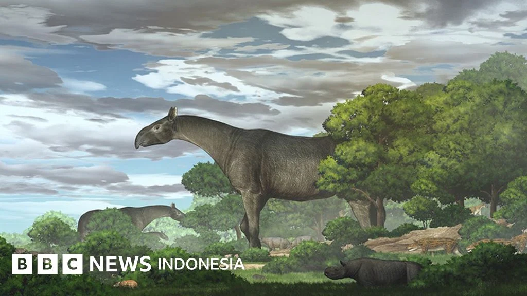 Terungkap! 5 Reptil Raksasa Afrika dengan Berat Hingga 1 Ton – Siapa yang Paling Menakutkan?