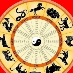 Terungkap! 5 Shio yang Paling Keras Kepala dan Tak Tergoyahkan – Ini Alasannya!