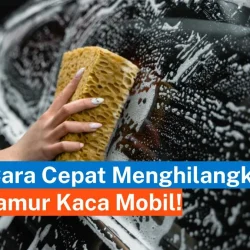 Terungkap! 7 Cara Ampuh Bikin Kaca Mobil Bebas Jamur dalam Sekejap