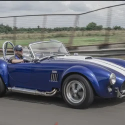 Tren Pencarian Harian 2026: Dari Dapur Impian hingga Gaya Shelby yang Kembali Menguasai Layar dan Rak Belanja