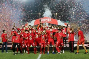 Eksplorasi Troyes: Dari Kebun Anggur Champagne Hingga Kemenangan Tim Sepak Bola Lokal