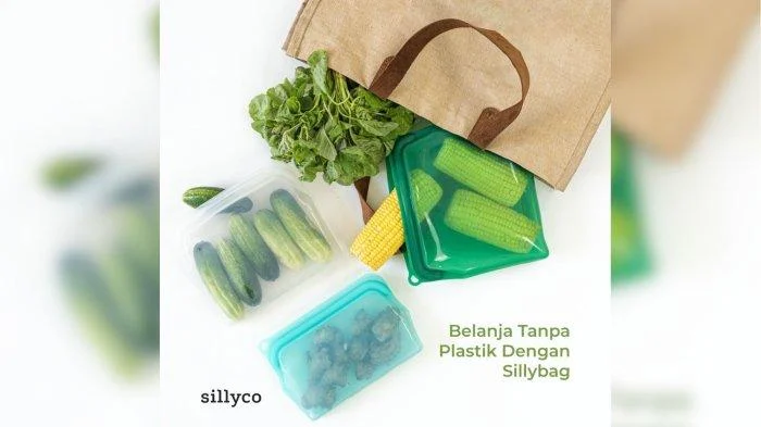 Harga Plastik Meroket! Puan Maharani Usulkan Solusi Alami: Daun Jadi Pengganti