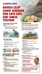 Jakarta Selatan Gencarkan Pengawasan Ikan Sapu-sapu: Dari Siomay hingga Pakan Ternak